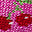 Imagen Swatch para el código de producto del sombrero: 150403