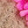 Swatch image for 504693
