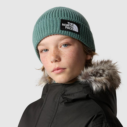 Gorro Beanie niños TNF Box Logo con vuelta de The North Face - Salvia Oscura