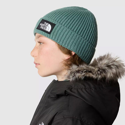 Gorro Beanie niños TNF Box Logo con vuelta de The North Face - Salvia Oscura