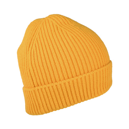 Gorro Beanie niños TNF Box Logo con vuelta de The North Face - Diente de Léon