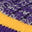 Swatch image for 740077