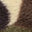 Imagen Swatch para el código de producto del sombrero: 740414