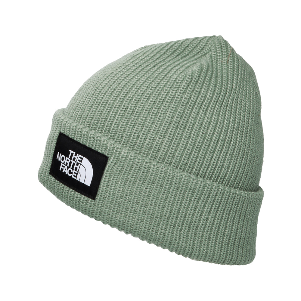 Gorro Beanie Salty Dog II Forrado Reciclado de The North Face - Salvia