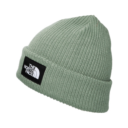 Gorro Beanie Salty Dog II Forrado Reciclado de The North Face - Salvia