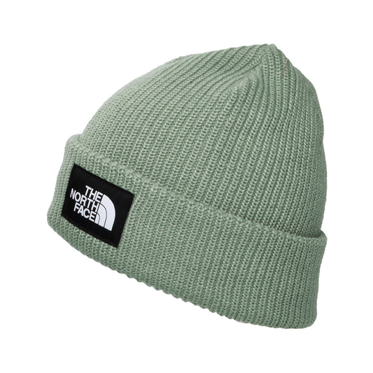 Gorro Beanie Salty Dog II Forrado Reciclado de The North Face - Salvia