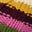 Imagen Swatch para el código de producto del sombrero: 740471