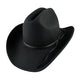Sombreros Cowboy
