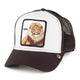 Gorras Trucker