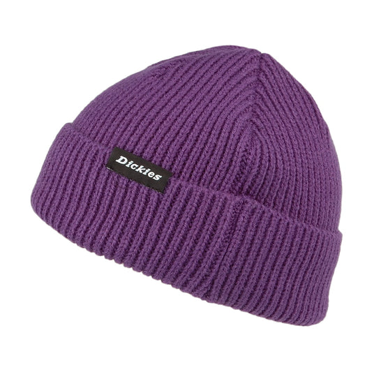 Gorro Woodworth de Dickies - Morado