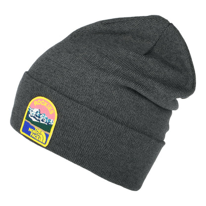 Gorro Beanie Embroidered Earthscape de The North Face - Gris Oscuro Jaspeado