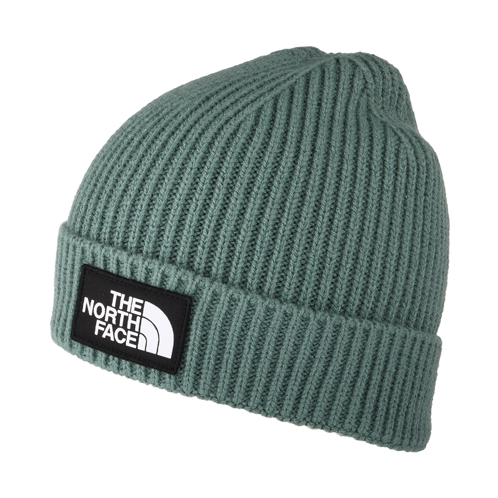 Gorro Beanie niños TNF Box Logo con vuelta de The North Face - Salvia Oscura
