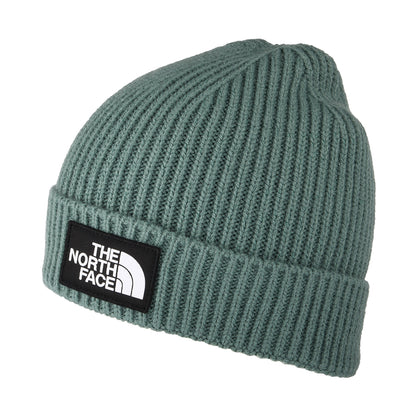 Gorro Beanie niños TNF Box Logo con vuelta de The North Face - Salvia Oscura