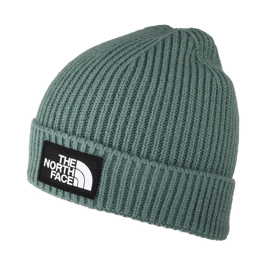 Gorro Beanie niños TNF Box Logo con vuelta de The North Face - Salvia Oscura