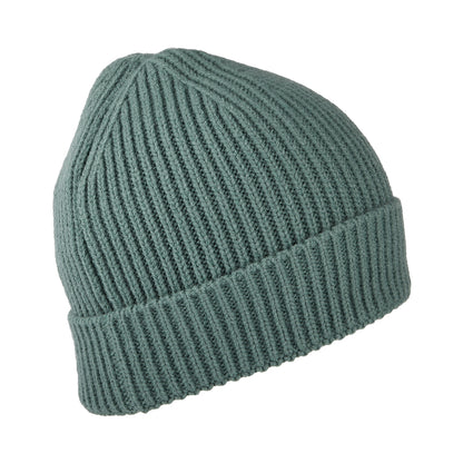 Gorro Beanie niños TNF Box Logo con vuelta de The North Face - Salvia Oscura
