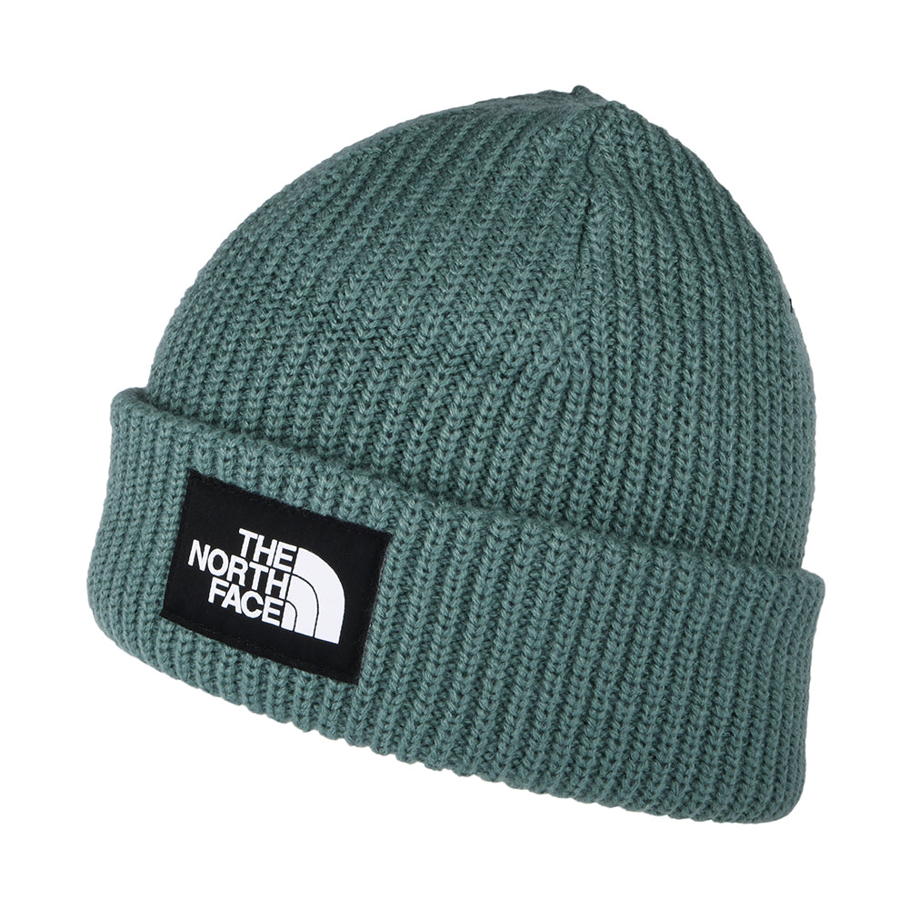 Gorro Beanie Salty Dog II de The North Face - Salvia Oscura