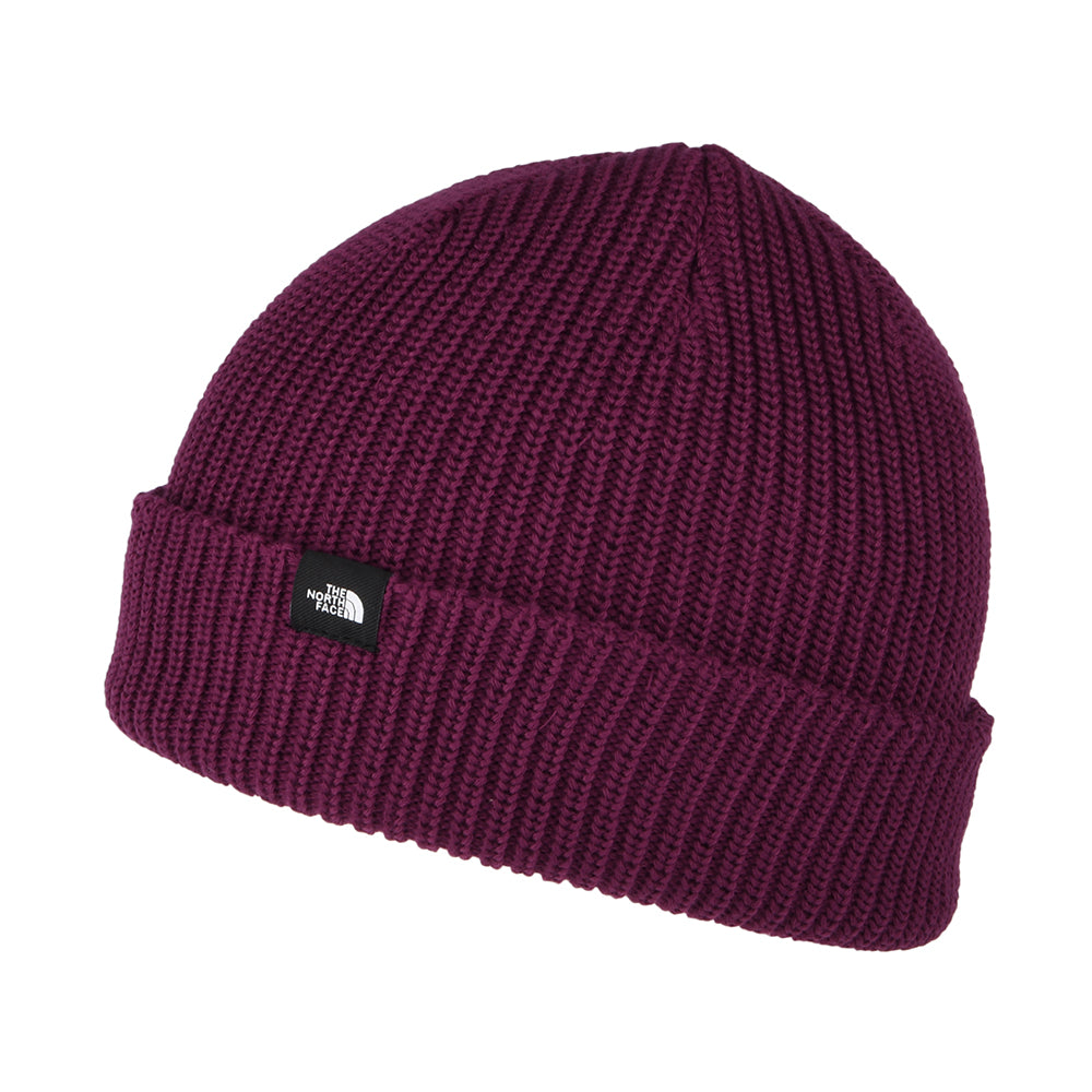 Gorro Beanie TNF reciclado Fisherman de The North Face - Baya
